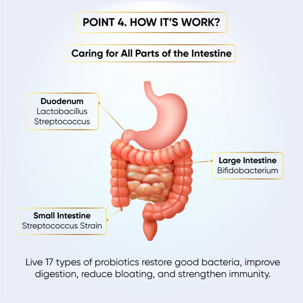Supre Probiotics information